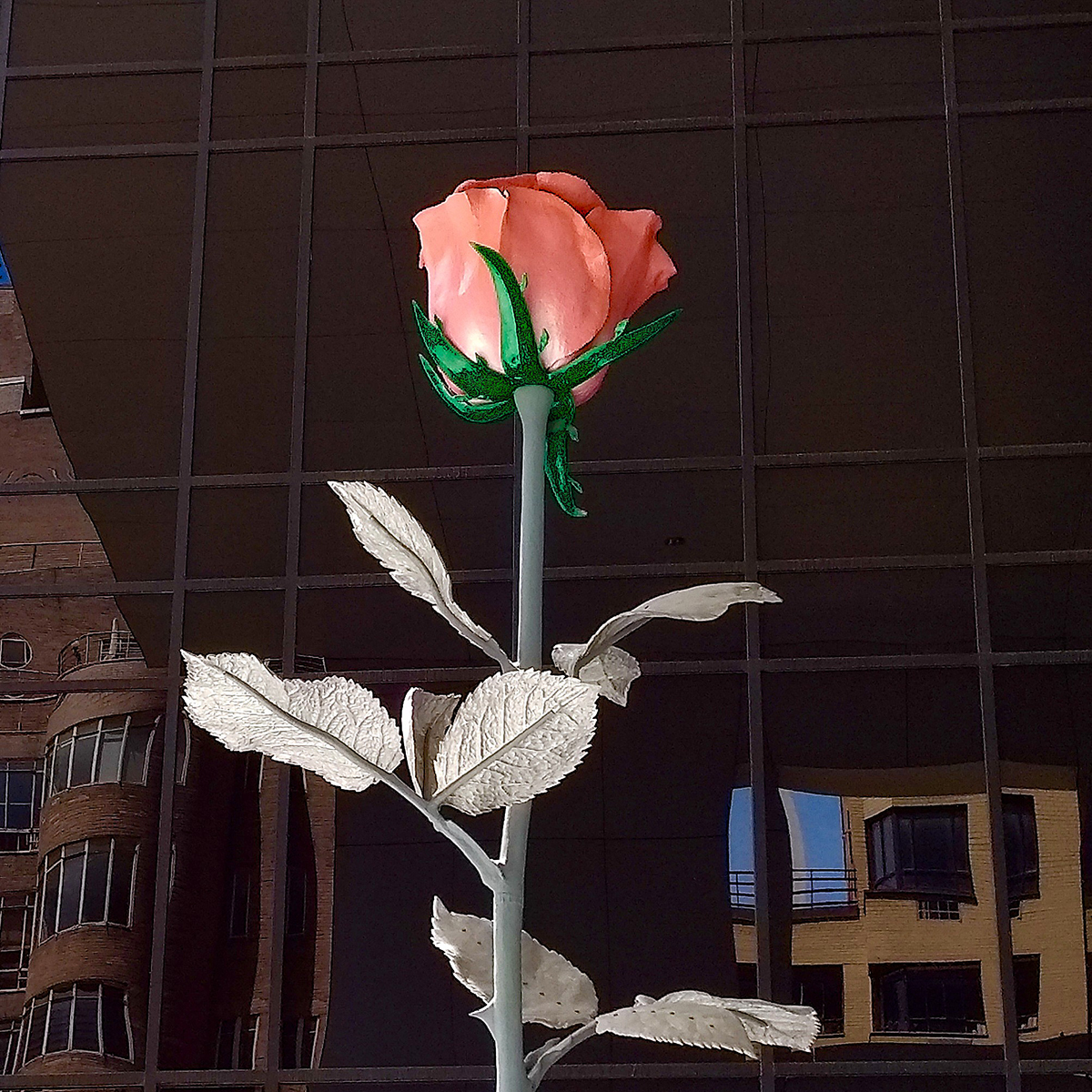 Flowers Reconsidered: A Photography Exhibit by Harold Kuskin