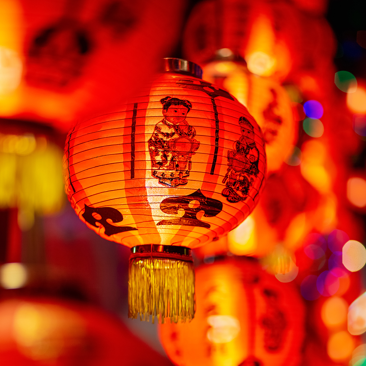 Music on the Patio: A Summer Evening of Chinese Traditions and Togetherness