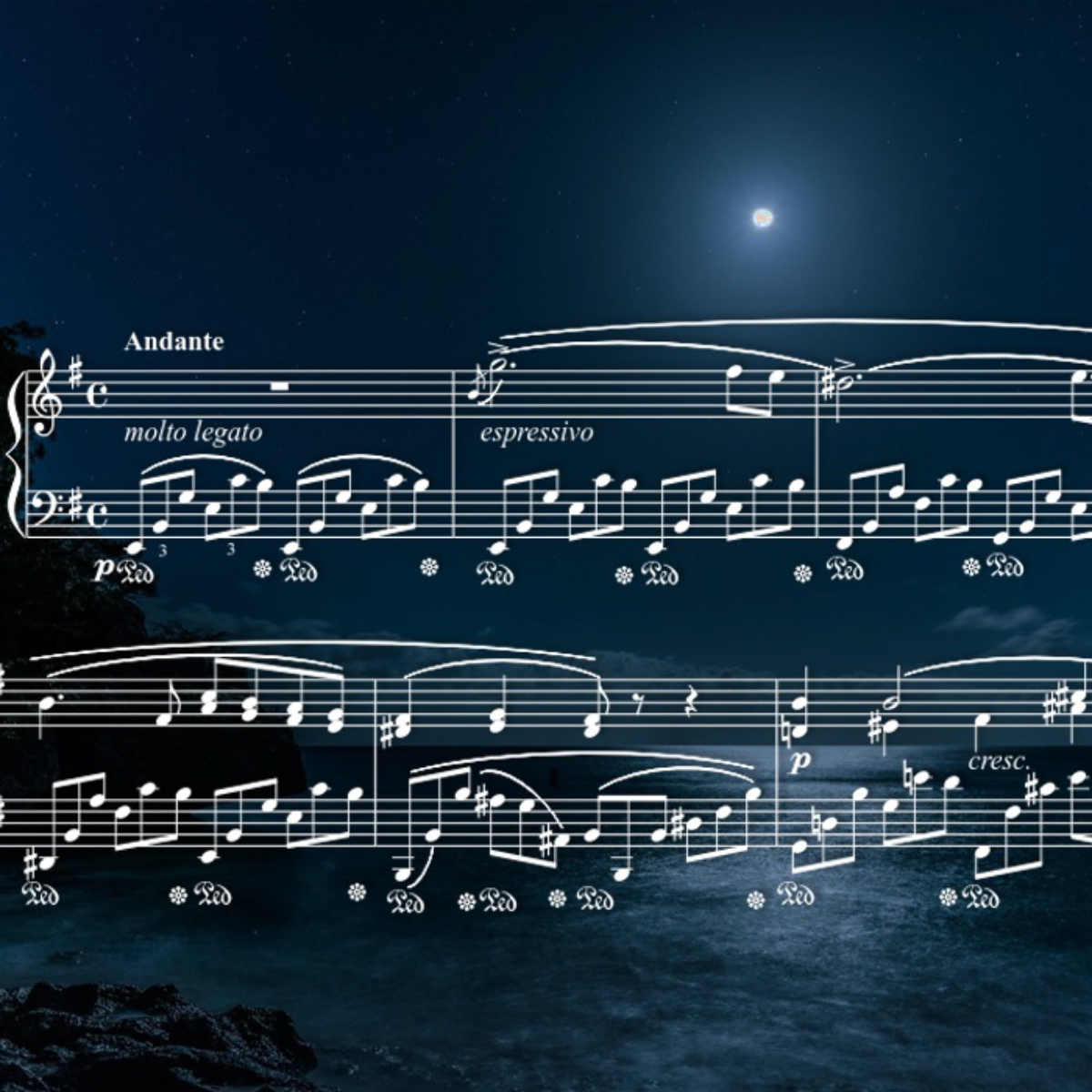 The Art of the Nocturne: Music of the Night