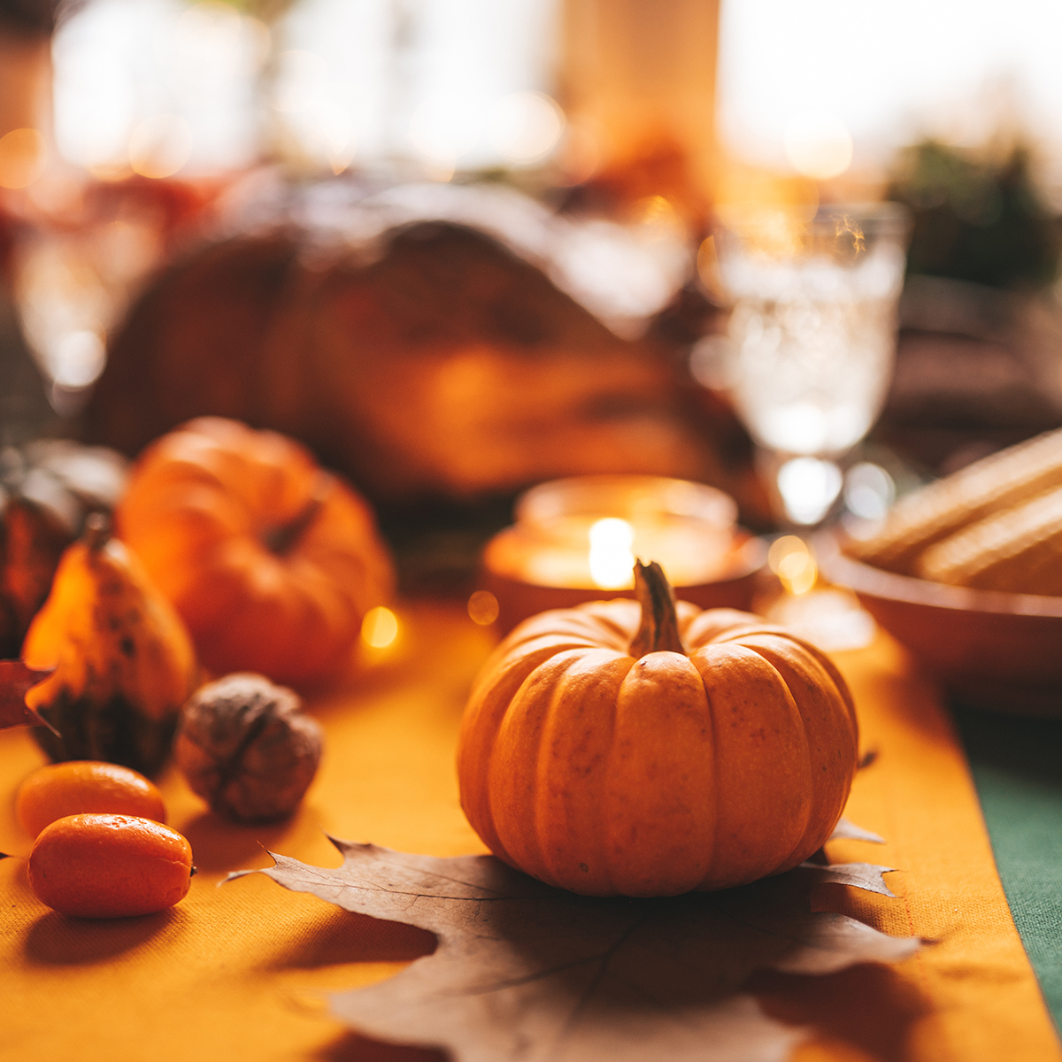 Thanksgiving Cooking Experience