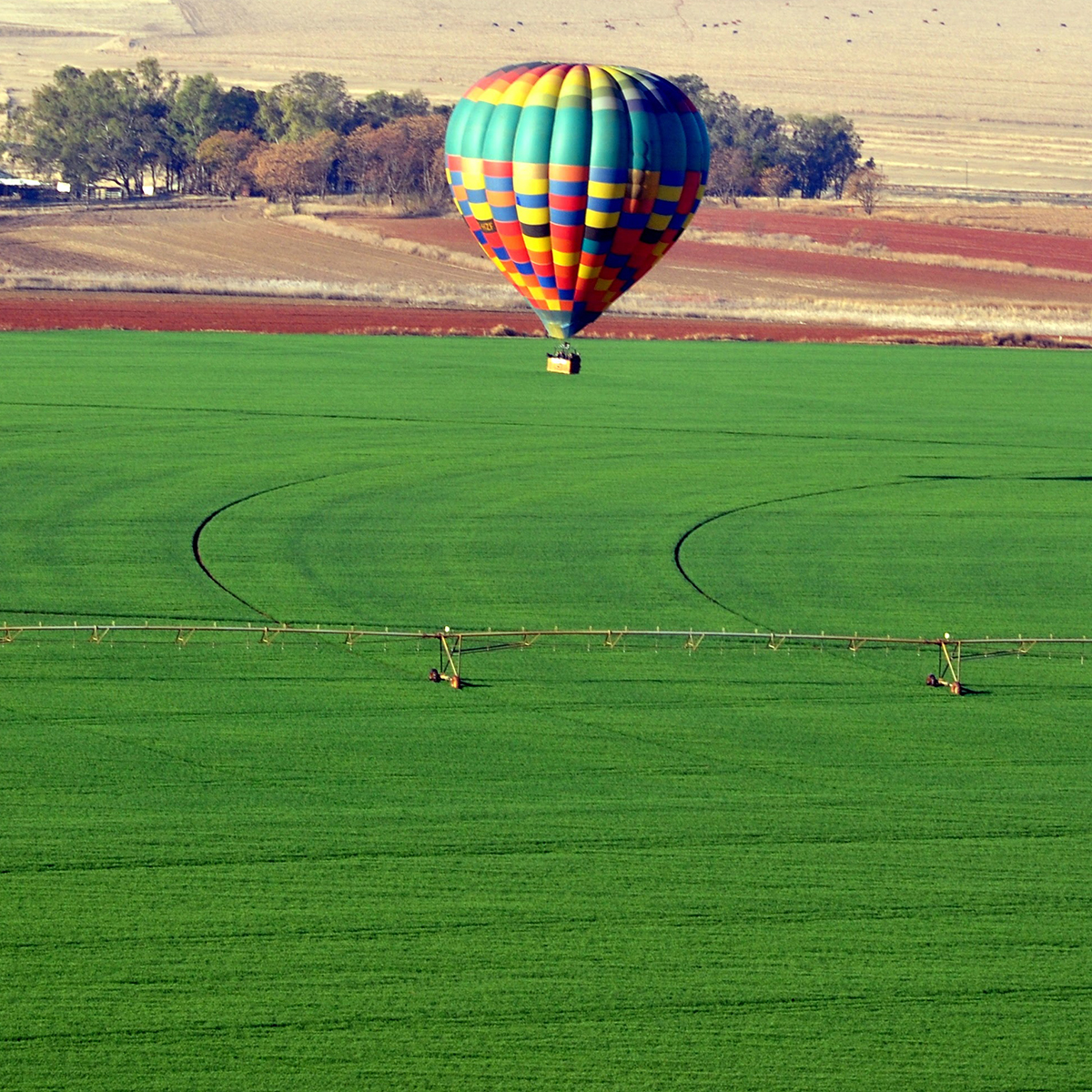 The Balloon Ride